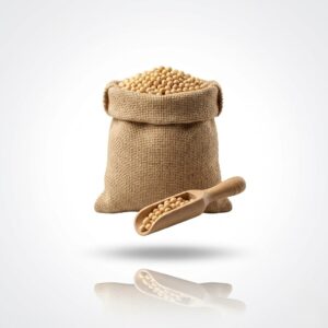 Soybean