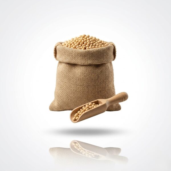 Soybean